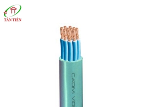 Dây cáp điện DVV 10x6 Cadivi