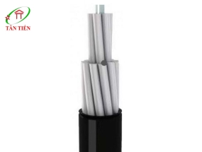 Dây cáp điện AV 400 Cadivi