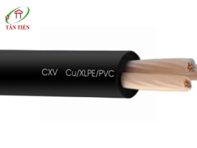 Dây cáp điện LION CXV 3X200  LION