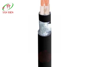 Dây cáp điện LION DK CVV 3X35+1X25 LION