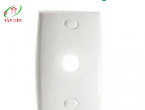 MẶT MỘT THIẾT BỊ S-CLASSIC SCHNEIDER 31AVH_G19