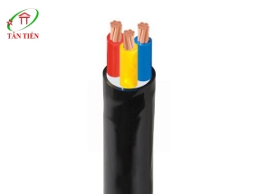 Dây cáp điện CVV 3X10 Cadivi 