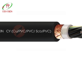 Dây cáp điện LION CY 27G 2.5 LION