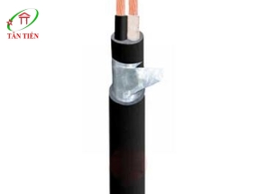 Dây cáp điện LION DK CVV 2X25 LION
