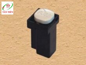 Hạt cầu chì ống 10A - Model SSTD