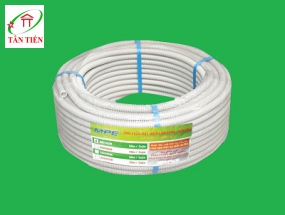 RUỘT GÀ PHI 25 MPE A9025CT
