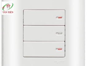 Bộ công tắc ba 1 chiều  Schneider E8433_1_G19 ZENcelo