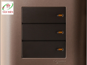 Bộ công tắc ba 2 chiều  Schneider E8433_2_SZ_G19 ZENcelo 