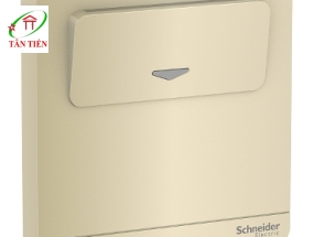 Bộ công tắc chìa khóa thẻ Schneider E8331EKT_WG_G19 AvatarOn A 