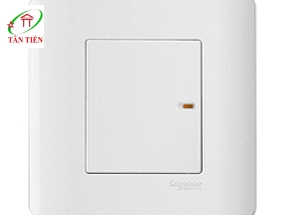 Bộ công tắc đơn 2 chiều  Schneider E8431_2_G19 ZENcelo