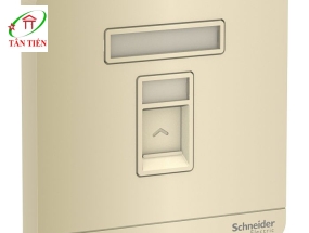 Bộ ổ cắm mạng cat5e đơn Schneider E8331RJS5_WG_G19 AvatarOn A 