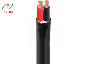 Dây cáp điện CVV 2X4.0 Cadivi