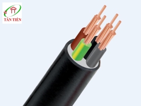 Dây cáp điện CVV 4X10 Cadivi 
