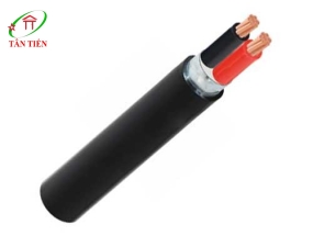 Dây cáp điện  CVV/DSTA-2x25 Cadivi 