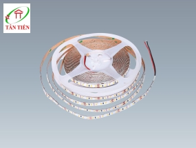 Dây LED Dán 24V - 12W/m anfaco