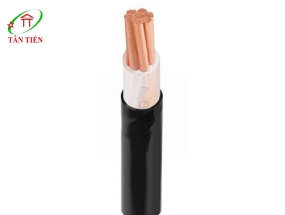 Dây cáp điện CXV 500 Cadivi