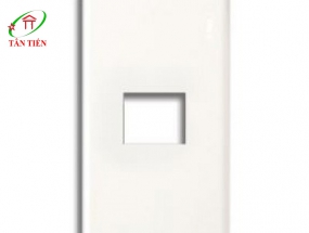 MẶT 1 THIẾT BỊ PANASONIC WZV7841W