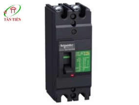MCCB 2P 80A 50KA Schneider EZC100H2080