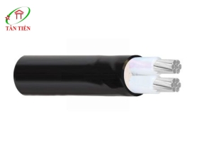 Dây cáp điện AXV 2X300 Cadivi