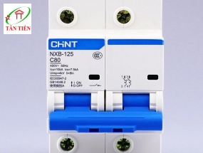 RCBO 2P 100A 30mA 10KA CHINT NXBLE-125-2P-C100-30mA