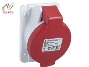 ổ cắm âm dạng nghiêng 5P 16A Schneider, PKF16F735 Di động 