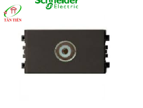 Ổ TV  Schneider 8431STV_BZ_G19 ZENcelo A