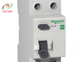 RCCB 2P 63A 4.5KA Schneider EZ9R36263