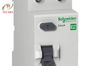 RCCB 2P 40A 4.5KA Schneider EZ9R36240