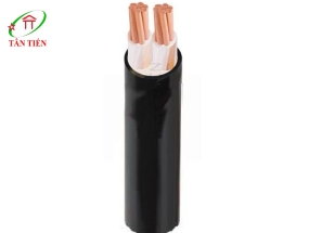 Dây cáp điện CXV 2x400 Cadivi 