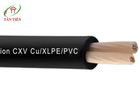 Dây cáp điện LION CXV 2X8 LION