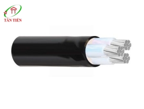 Dây cáp điện LION AXV/DSTA 3X240 LION