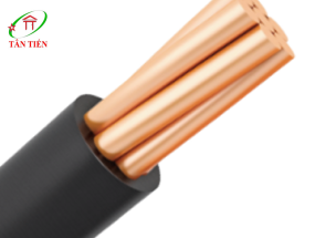 Dây cáp điện CV 500 Cadivi