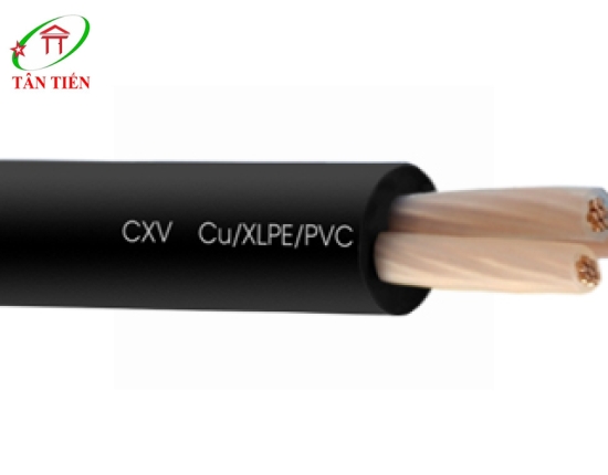 Dây cáp điện LION CXV 3X200  LION