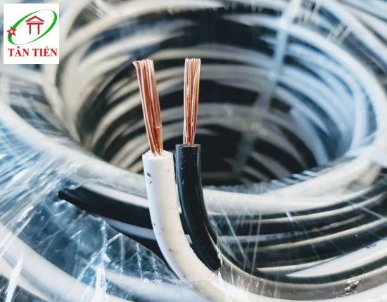 Dây cáp điện LION DUCV 2X6 LION