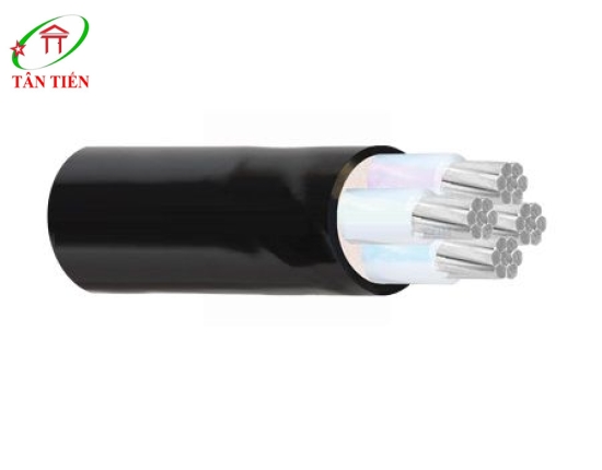 Dây cáp điện AXV/DSTA 2x50 Cadivi