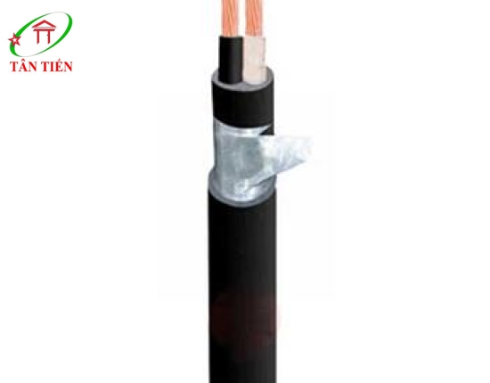 Dây cáp điện LION DK CVV 2X4 LION
