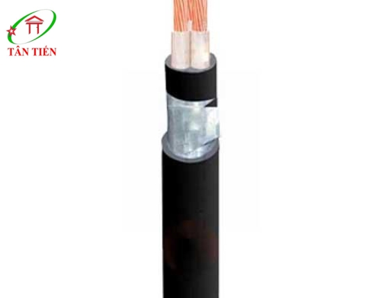 Dây cáp điện LION DK CVV 3X35 LION