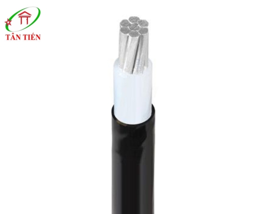 Dây cáp điện LION AXV 400 LION