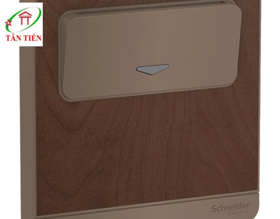 Bộ công tắc chìa khóa thẻ Schneider E8331EKT_WD_G19  AvatarOn A