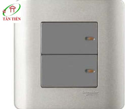 Bộ công tắc đôi 1 chiều Schneider E8432_1_SA_G19 ZENcelo 