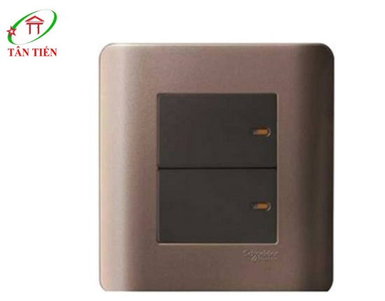 Bộ công tắc đôi 1 chiều  Schneider E8432_1_SZ_G19 ZENcelo