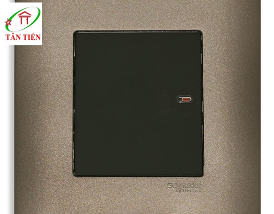 Bộ công tắc đơn 2 chiều  Schneider E8431_2_SZ_G19 ZENcelo