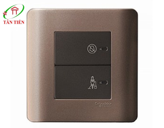 Bộ công tắc Schneider E8432DMS_SZ_G19 ZENcelo