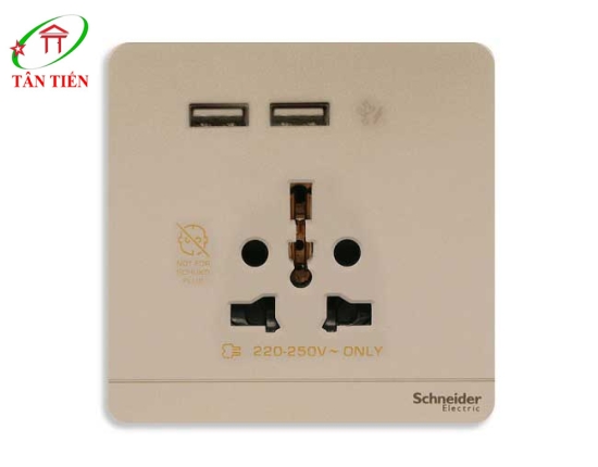 Bộ ổ cắm đa năng  Schneider E8342616USB_WG_G19 AvatarOn A