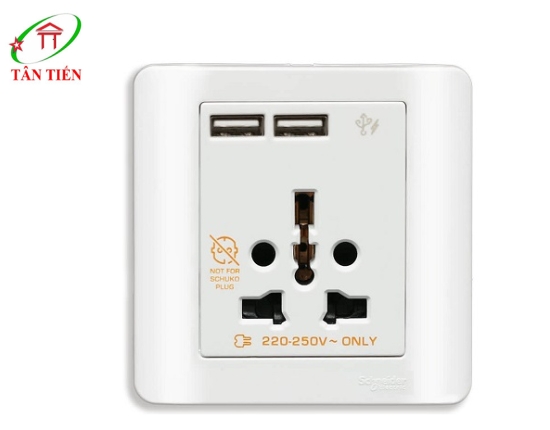 Bộ ổ cắm đa năng và sạc USB đôi Schneider E8442616USB_WE_G19 ZENcelo 