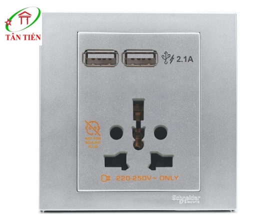 Bộ ổ cắm đa năng và sạc USB đôi Schneider KB42616USB_AS_G19 Vivace  