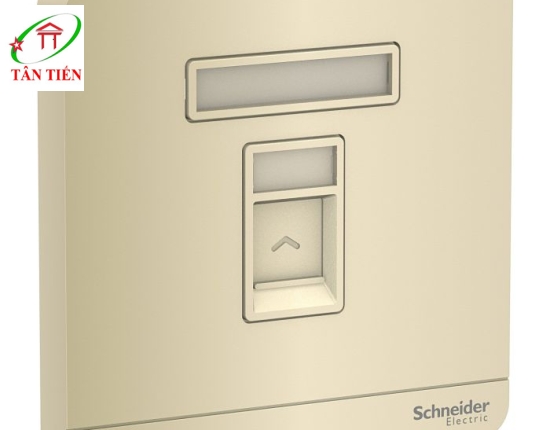 Bộ ổ cắm mạng cat5e đơn Schneider E8331RJS5_WG_G19 AvatarOn A 