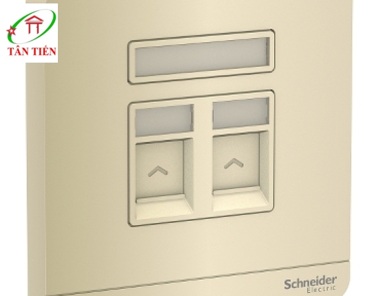 Bộ ổ cắm mạng cat5e đôi Schneider E8332RJS5_WG_G19 AvatarOn A