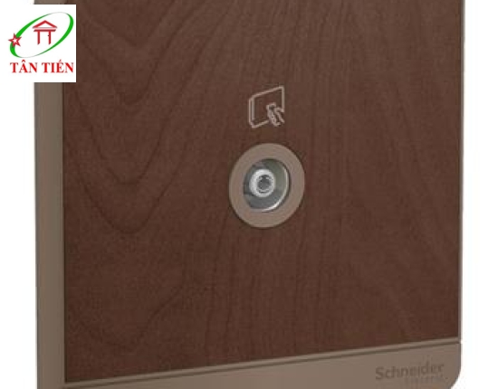 Bộ ổ cắm TV đơn Schneider E8331TV_WD_G19 AvatarOn A