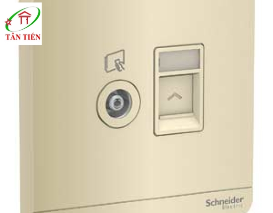 Bộ ổ cắm TV Schneider E8332TVRJS5_WG_G19 AvatarOn A